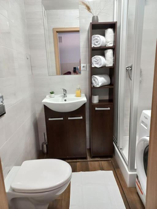 Kawalerka W Centrum Wadowice Dış mekan fotoğraf